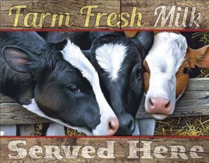 Farm Fresh Milk at diecastdepot