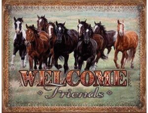 WELCOME FRIENDS - HORSES