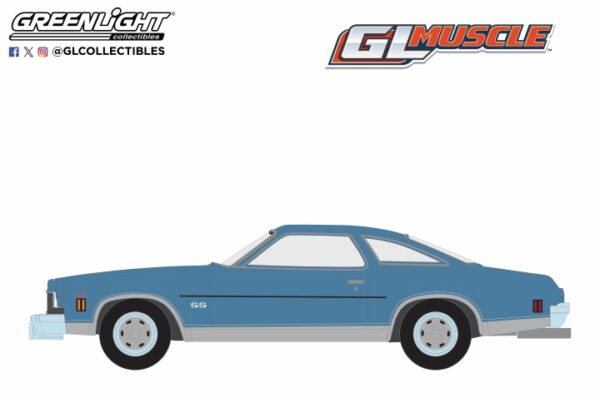 13360 d - 1973 Chevrolet Chevelle SS 454 in Light Blue Matallic and Silver