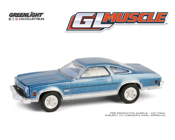 13360d - 1973 Chevrolet Chevelle SS 454 in Light Blue Matallic and Silver